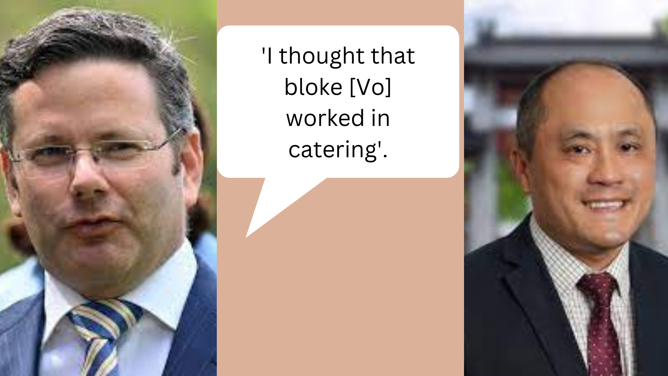 Former NSW Multiculturalism Minister apologises for racist comment towards Tri Vo MP